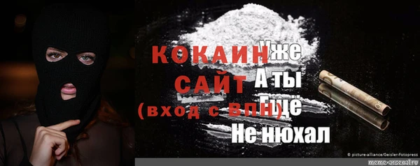 стаф Аркадак