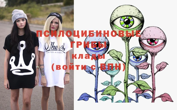 спиды Арсеньев