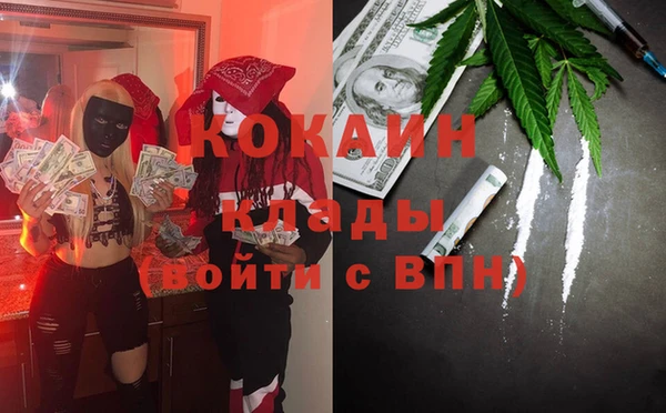 стаф Аркадак