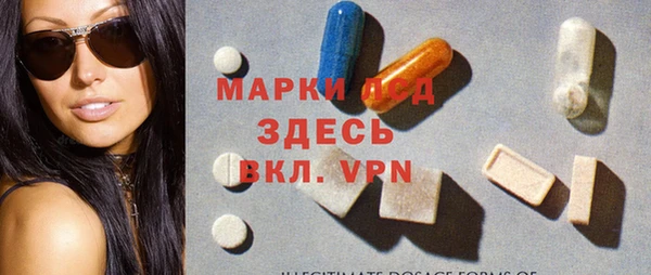 стаф Аркадак