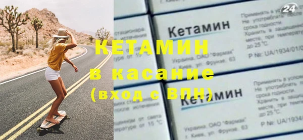 стаф Аркадак