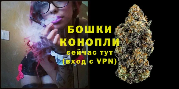 спиды Арсеньев