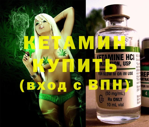 стаф Аркадак