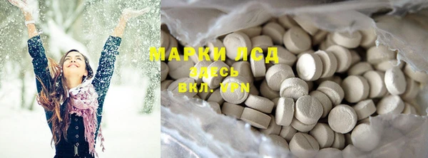 стаф Аркадак